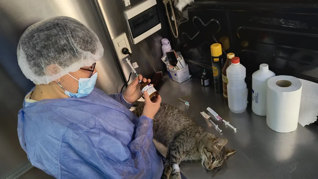 movil-de-castracion-2-1024x576