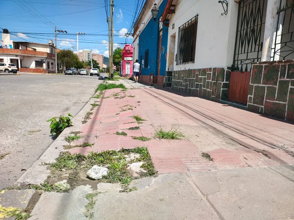 mi-vereda-2