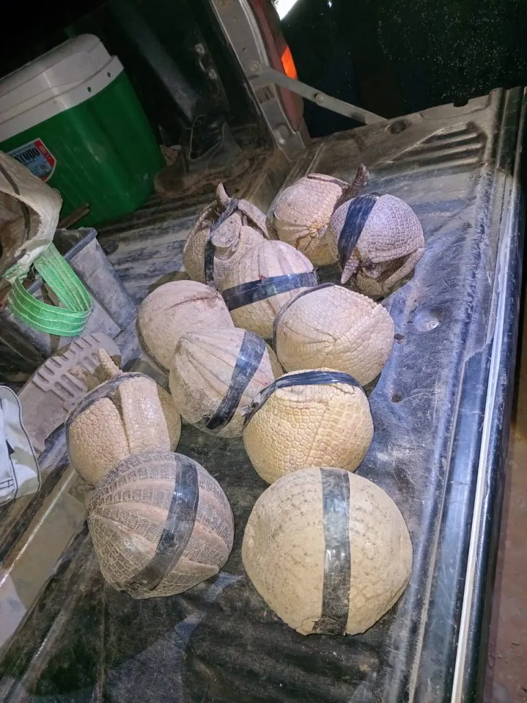 Imagen-de-WhatsApp-2024-04-28-a-las-17.14.52_798ac66a-768x1024