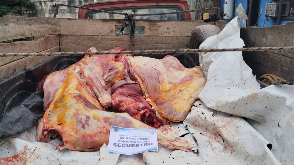 Imagen-de-WhatsApp-2024-04-25-a-las-15.38.53_45a5317b-1024x576