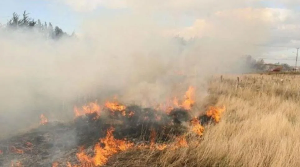 WhatsApp Image 2025-08-01 at 10.04.48