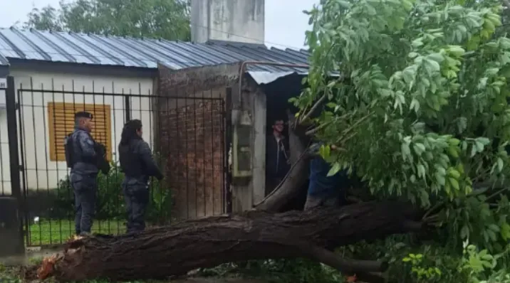 Captura de pantalla 2025-03-31 185903