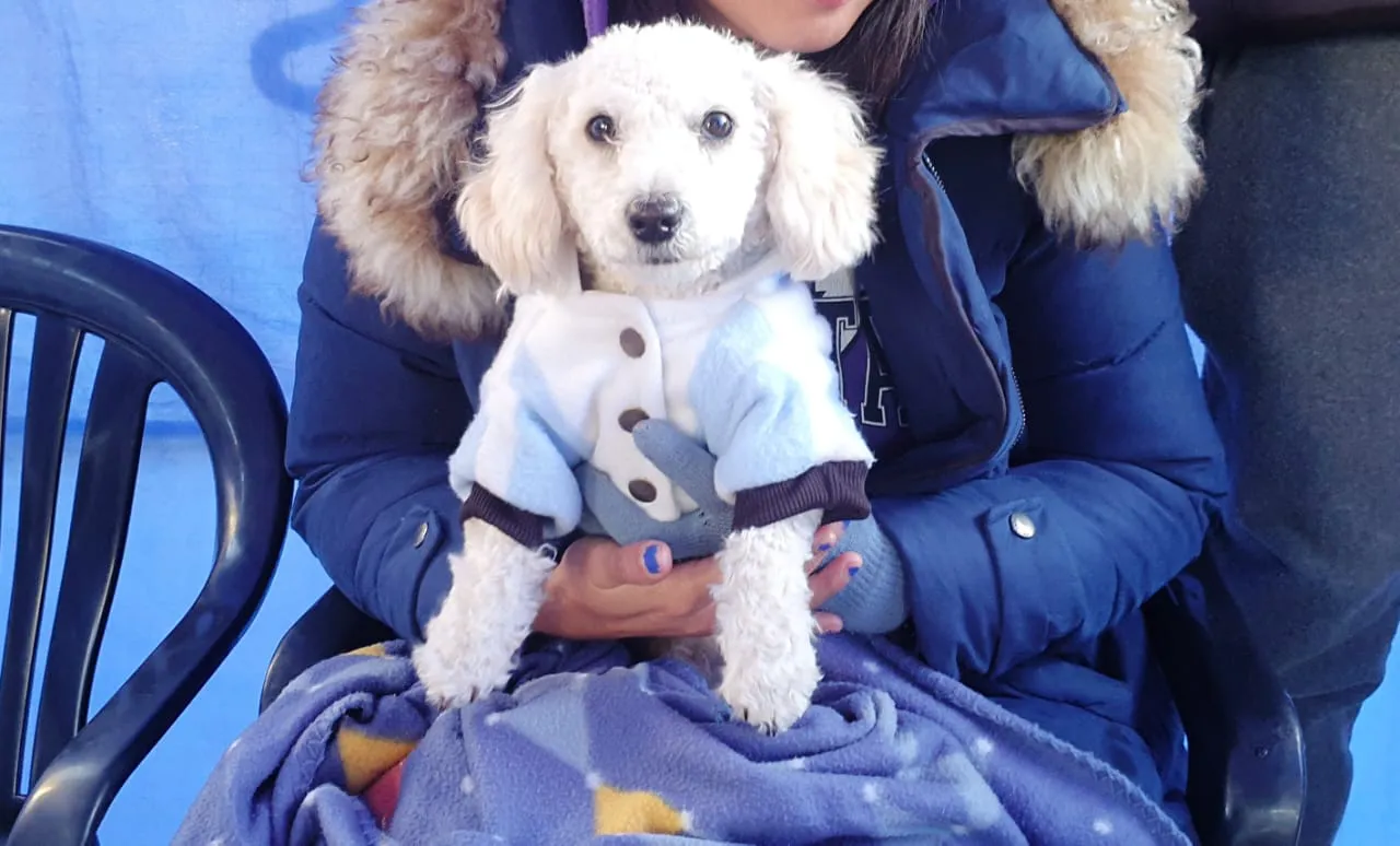 movil-de-castracion-barrio-inter-4