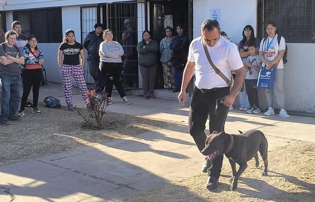 WhatsApp Image 2025-07-31 at 10.26.49