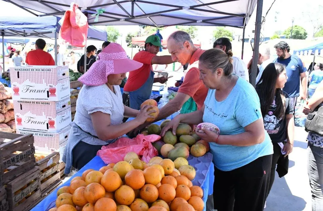 WhatsApp Image 2025-09-03 at 11.55.00