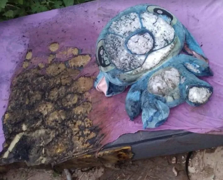 Captura de pantalla 2025-12-19 124158