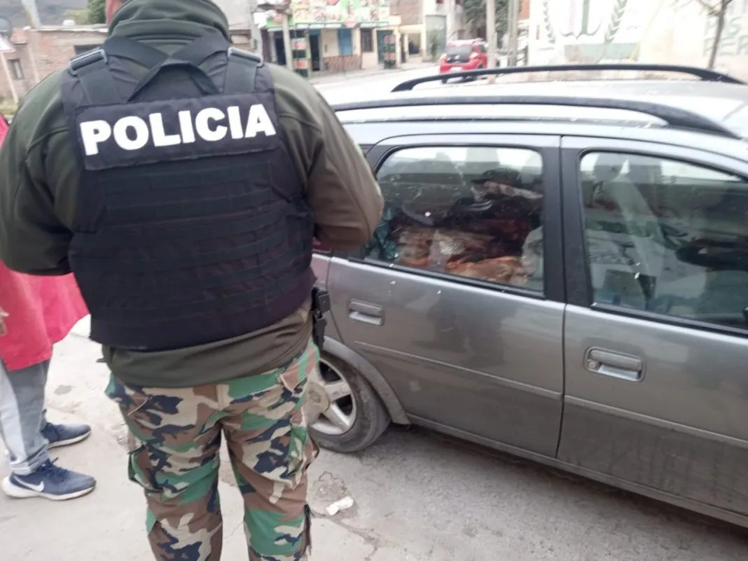 Imagen-de-WhatsApp-2024-07-09-a-las-12.25.58_d33420e5-1068x801