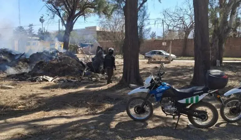 WhatsApp Image 2025-08-27 at 19.23.18