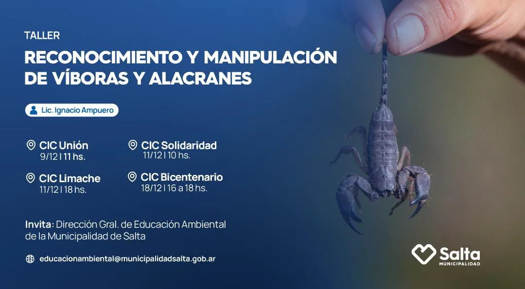 taller-sobre-alacranes-y-viboras-flyer-jpg