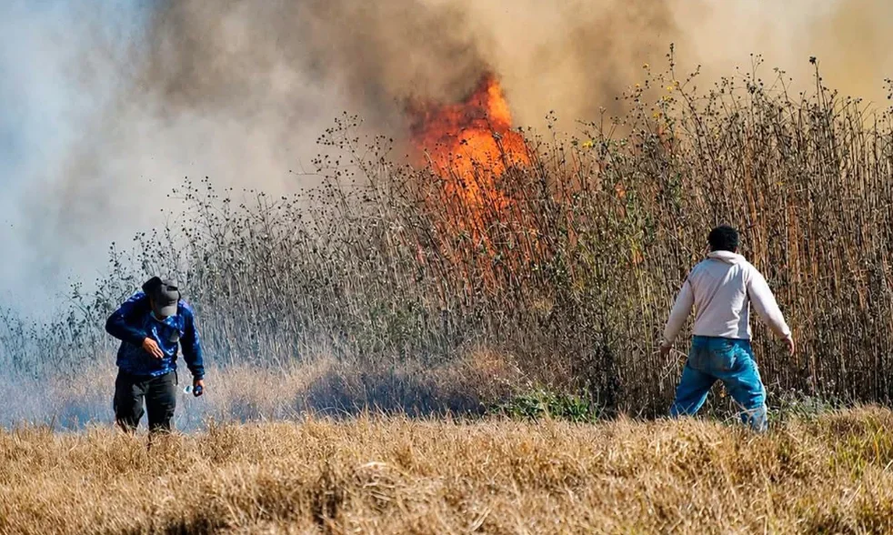 Captura de pantalla 2026-07-17 143336