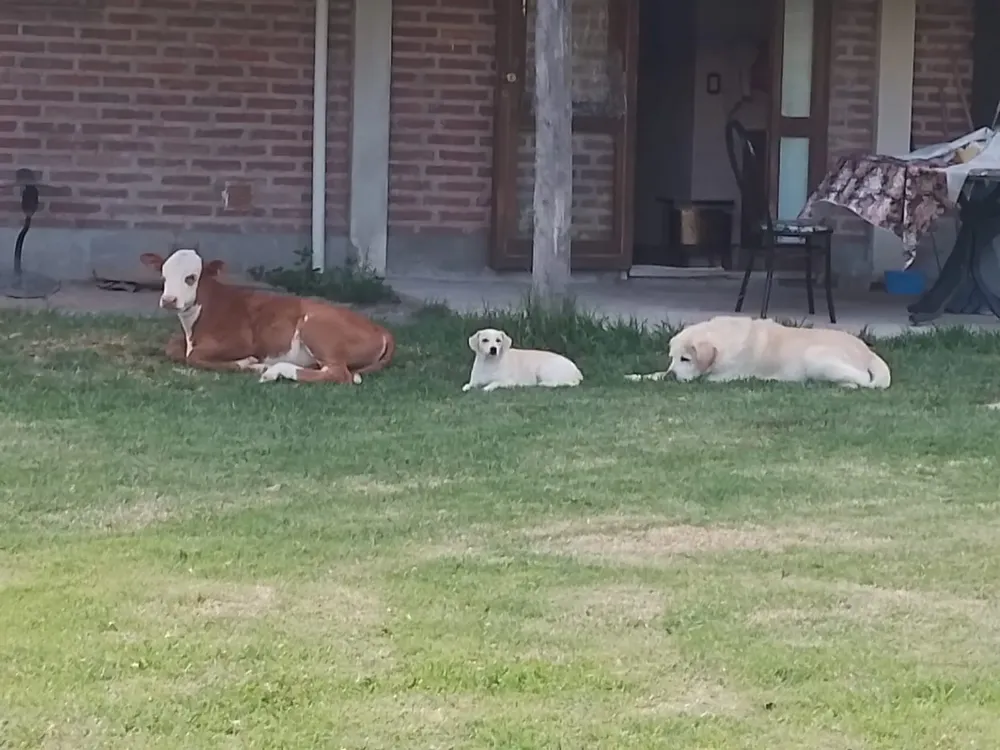 WhatsApp-Image-2024-01-29-at-10.13.20-1-1536x1152