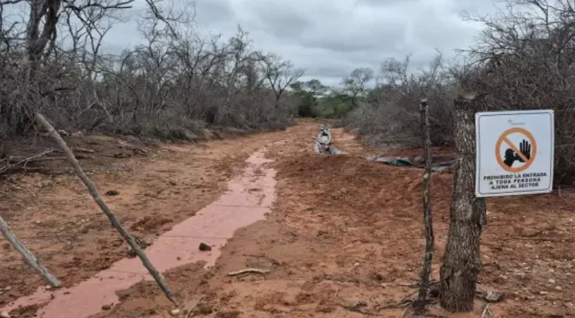 Captura de pantalla 2025-05-26 205434