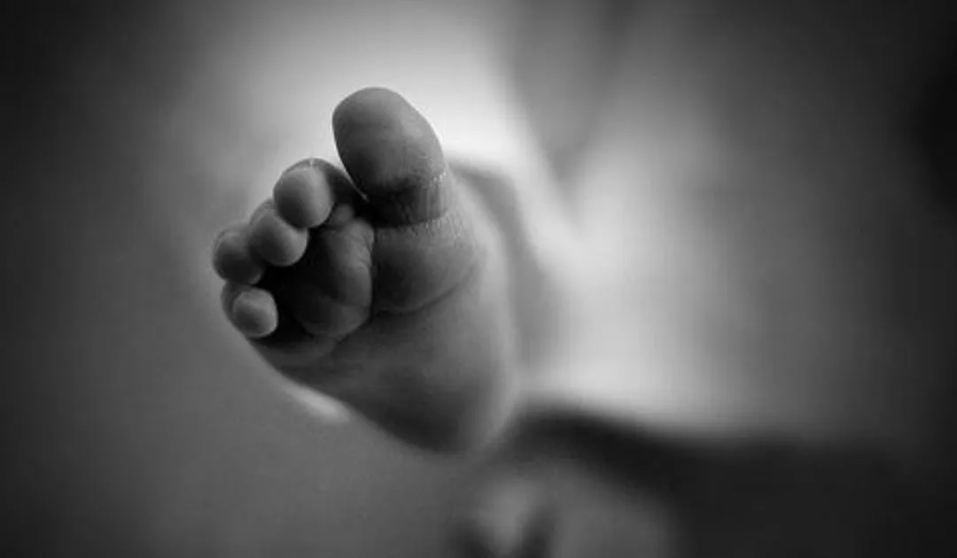 WhatsApp Image 2025-09-01 at 09.55.16