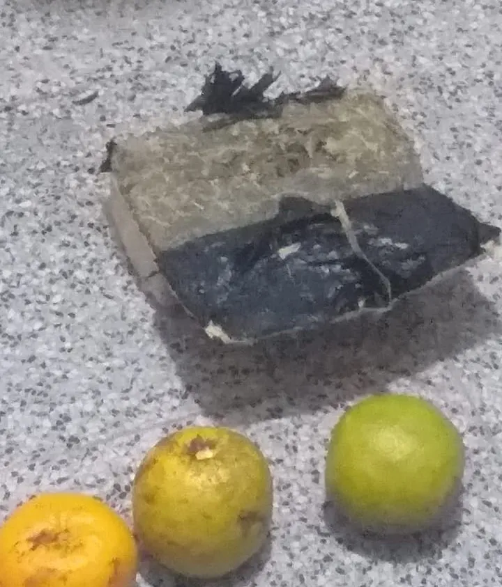 WhatsApp-Image-2024-05-26-at-6.12.41-PM-1