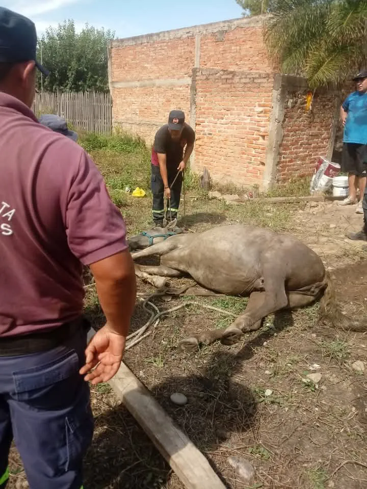 FB_IMG_1738086826563