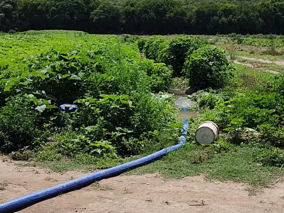 riego-con-agua-del-rio-arenales