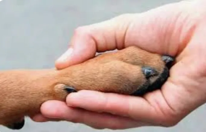 Screenshot_20240429_152649_Google