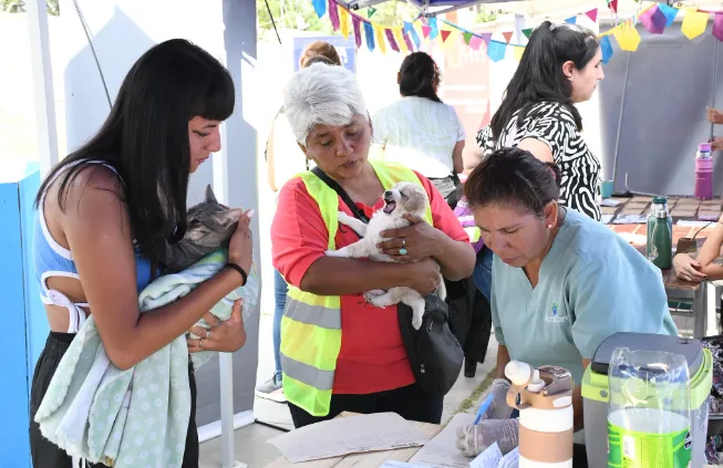 Captura de pantalla 2025-04-16 023710