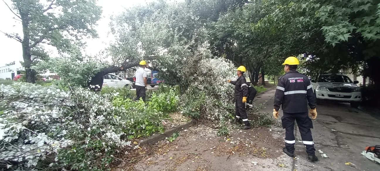 operativo-temporal-2