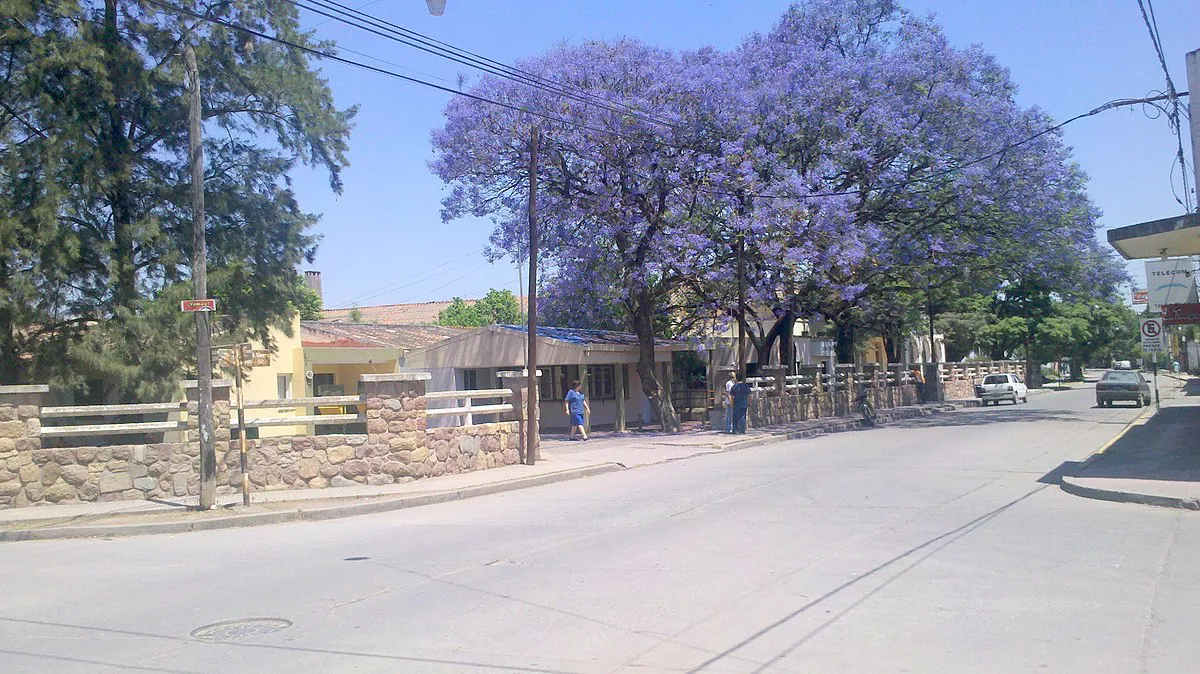 Hospital_del_Carmen_-_San_José_de_Metan_-_Metan_-_panoramio_(2)