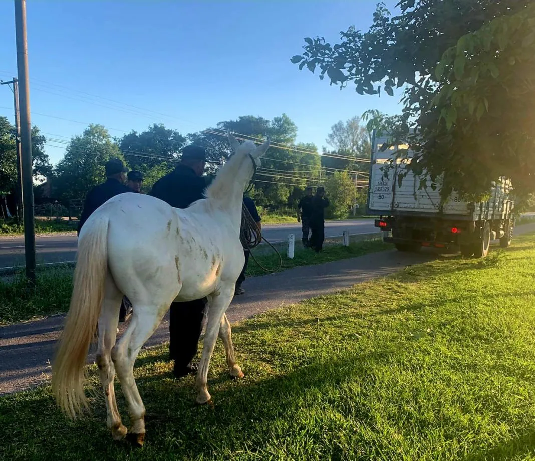 WhatsApp-Image-2025-04-01-at-1.56.06-PM-1068x920