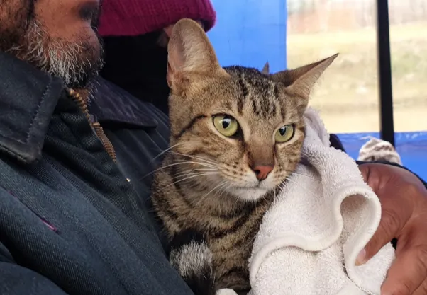 Captura de pantalla_26-11-2025_174933_prensa.municipalidadsalta.gob.ar