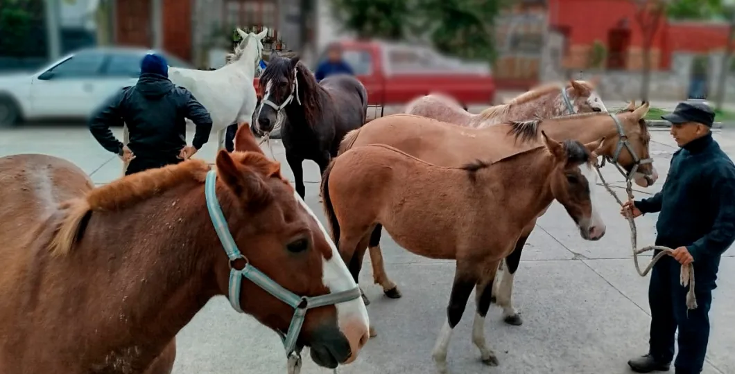 Captura de pantalla 2025-04-07 192848