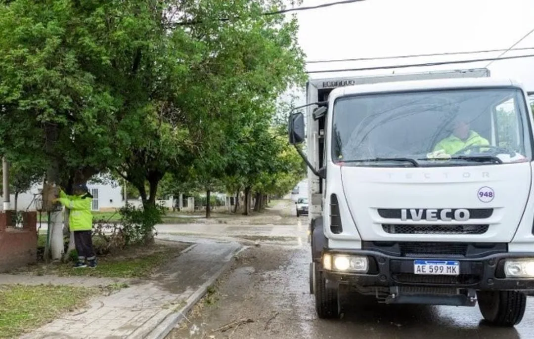 WhatsApp Image 2025-07-08 at 11.53.42