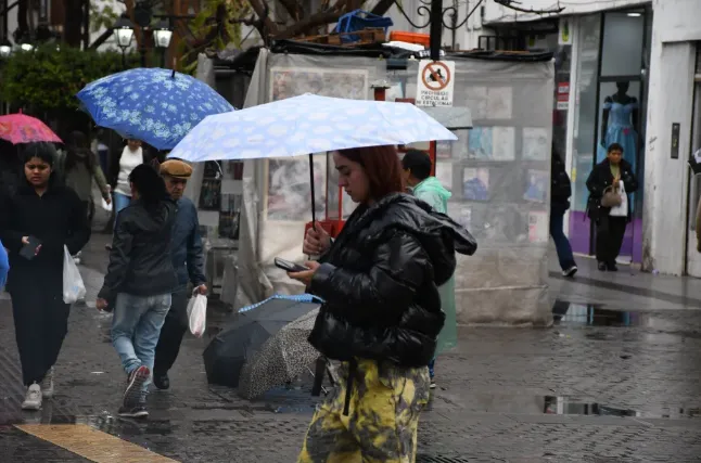 Captura de pantalla 2025-11-05 113317