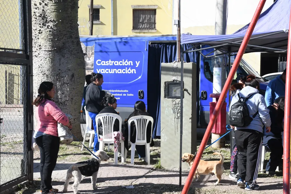 vacunacion-y-castracion-lamadrid-1-scaled