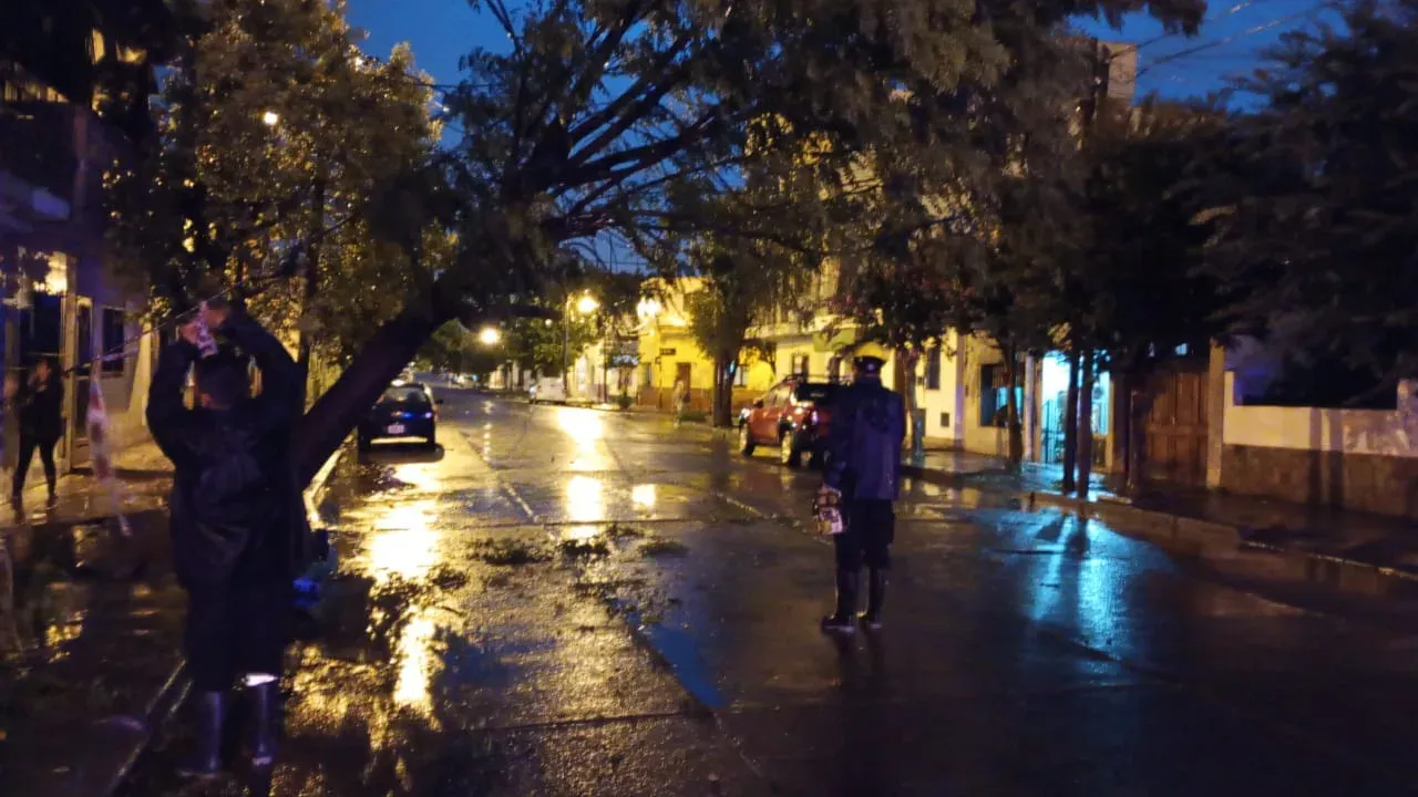 tormenta-noviembre-25-d