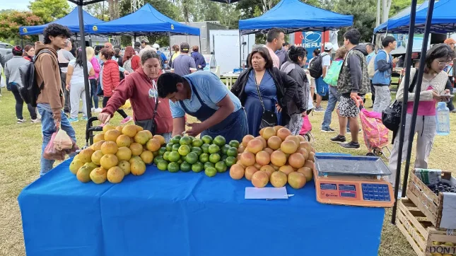 Captura de pantalla 2026-03-10 150158
