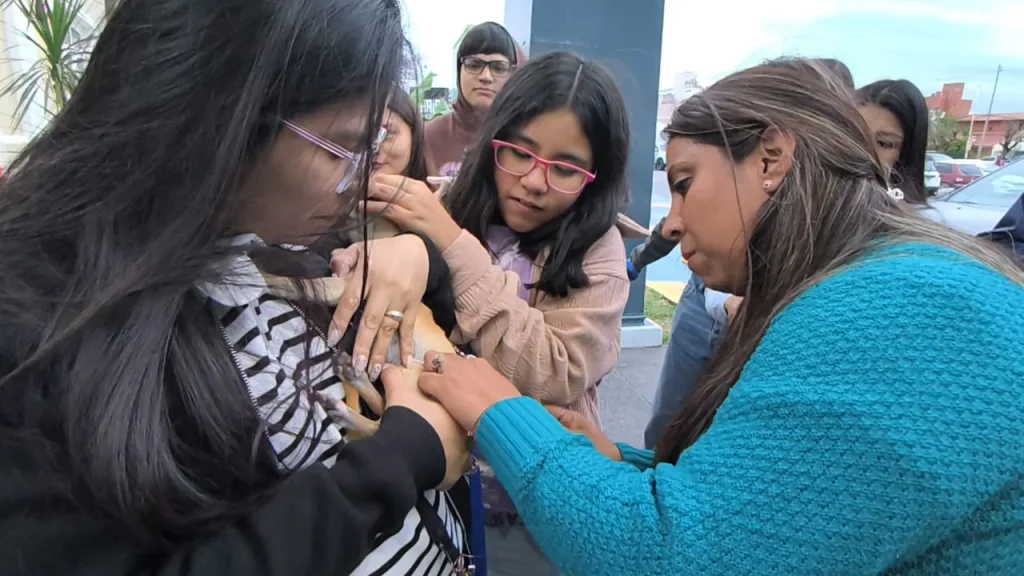 adopcion-alto-noa-9-1024x576