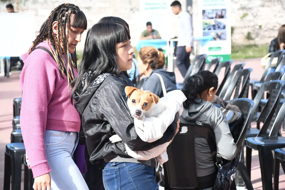 castracion-masiva-5-scaled