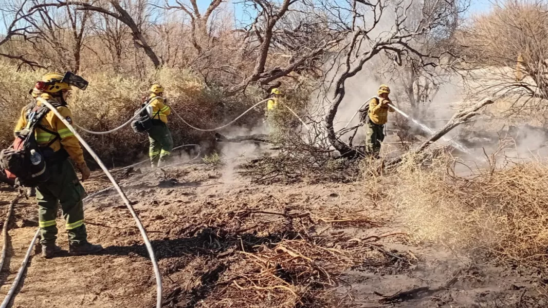 21025-intensificaron-los-trabajos-de-lucha-contra-los-incendios-en-cafayate