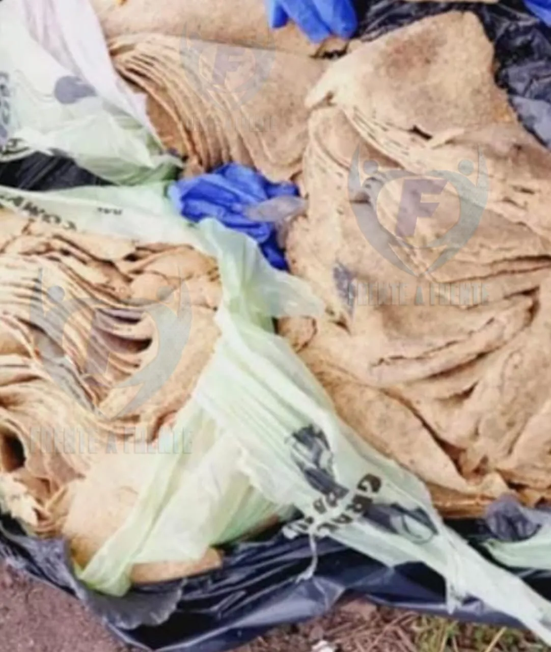 WhatsApp Image 2025-08-16 at 14.15.00