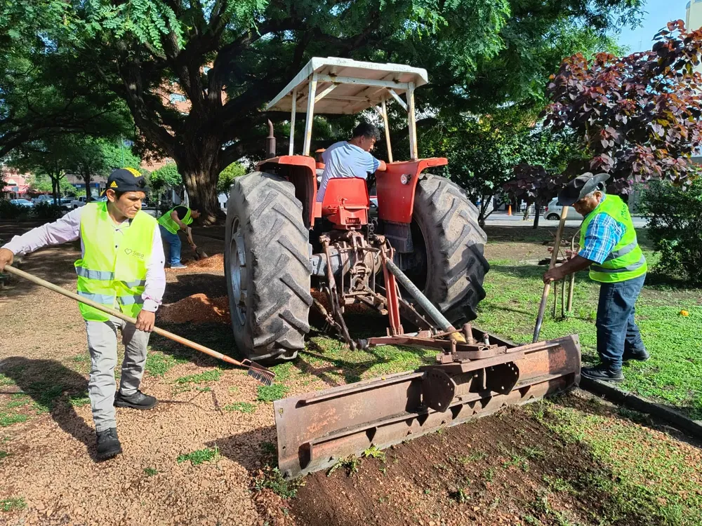 arreglos-plaza-guemes-1
