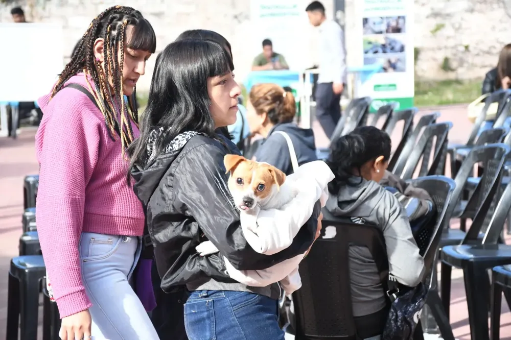 castracion-1536x1023