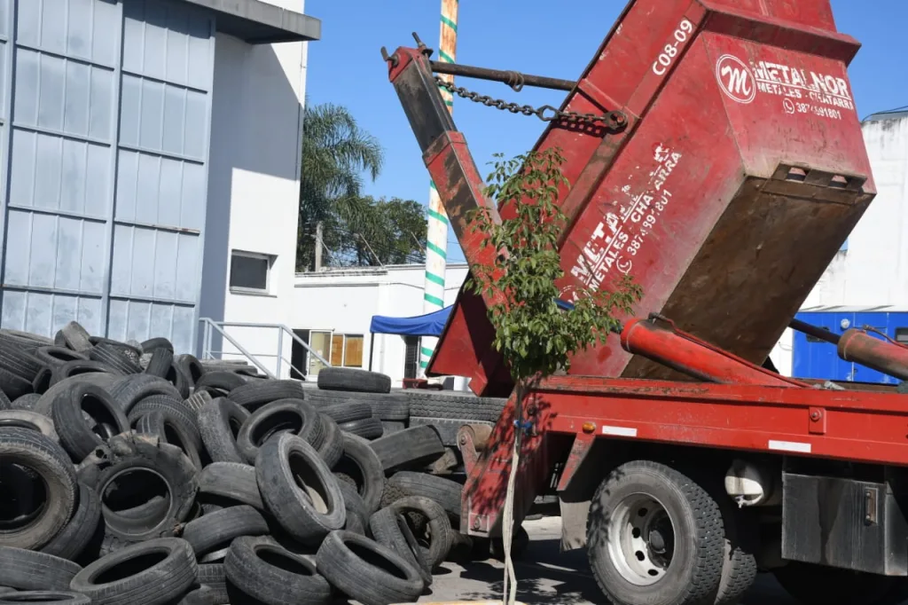 neumaton-13-edicion-4-1024x682