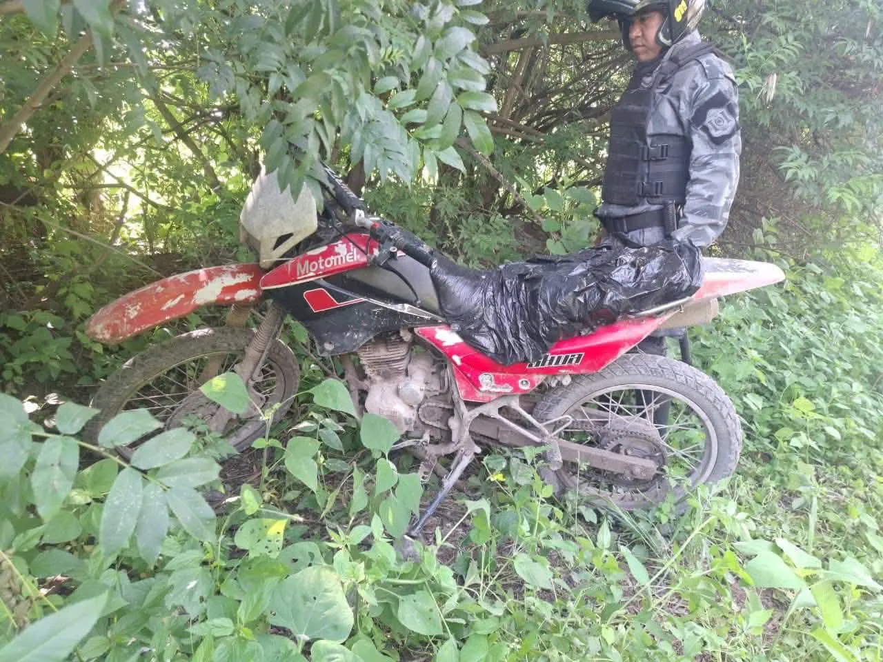 WhatsApp Image 2026-02-05 at 19.23.13