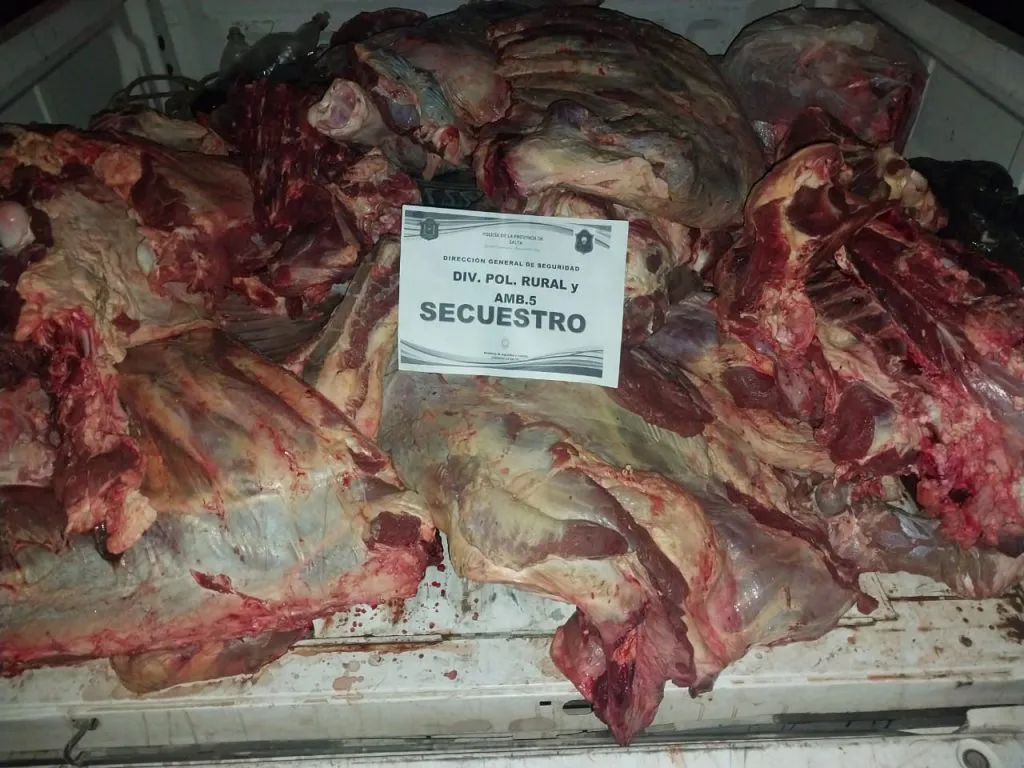 2ee0e0c3-e2b8-467b-afe6-e85cf5091931-1024x768