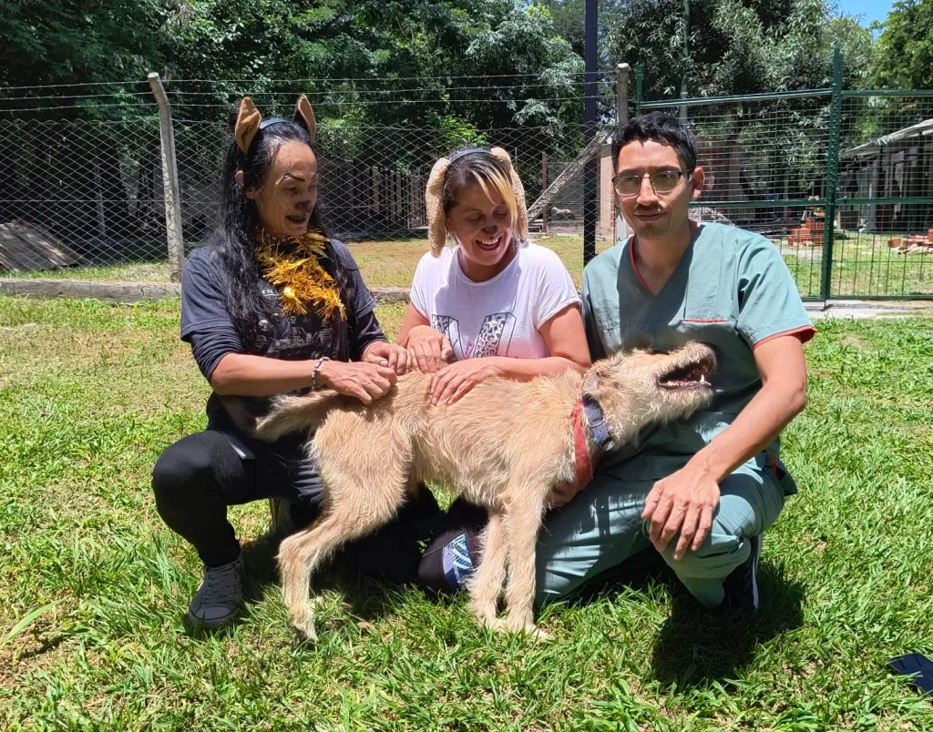 patas-a-la-obra-4-1024x804