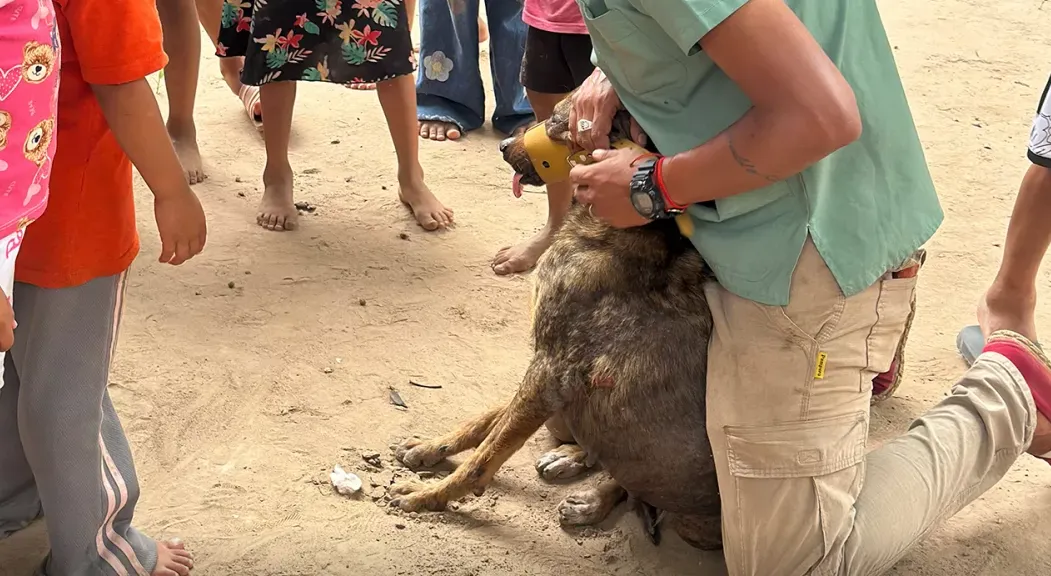 Captura de pantalla 2025-12-10 152412