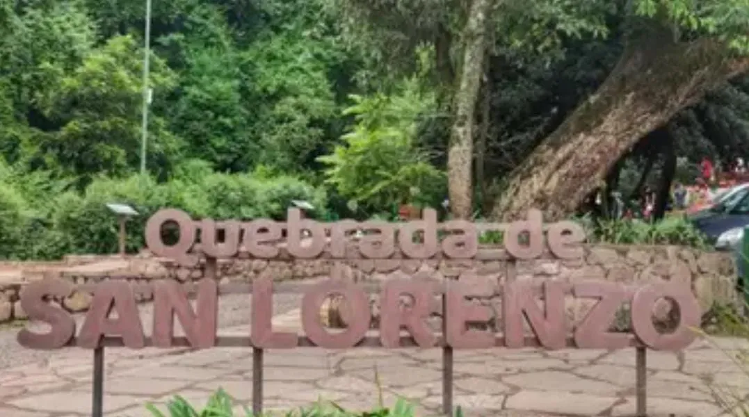 WhatsApp Image 2025-09-18 at 12.21.30