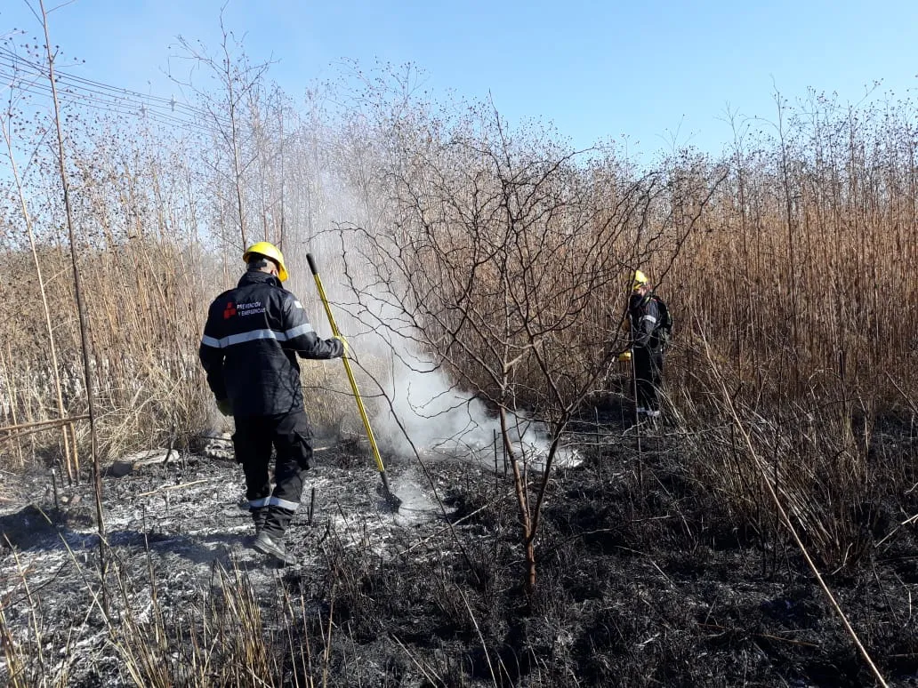 incendio-San-Calixto-y-Parque-La-Vega-1