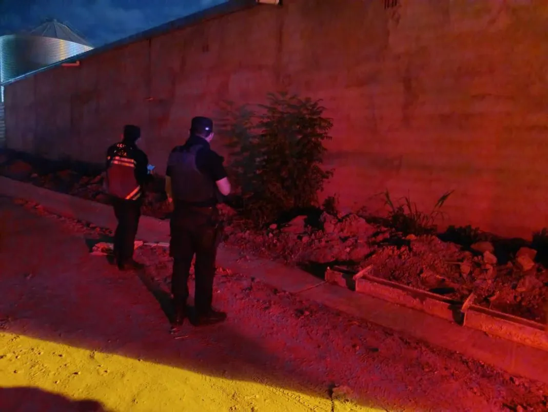 WhatsApp-Image-2026-01-08-at-12.41.03-1-1068x804