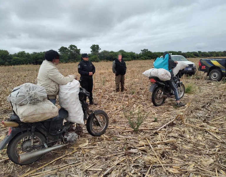 WhatsApp-Image-2025-10-29-at-10.49.11-768x602