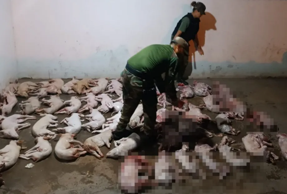 Captura de pantalla 2025-12-03 141354