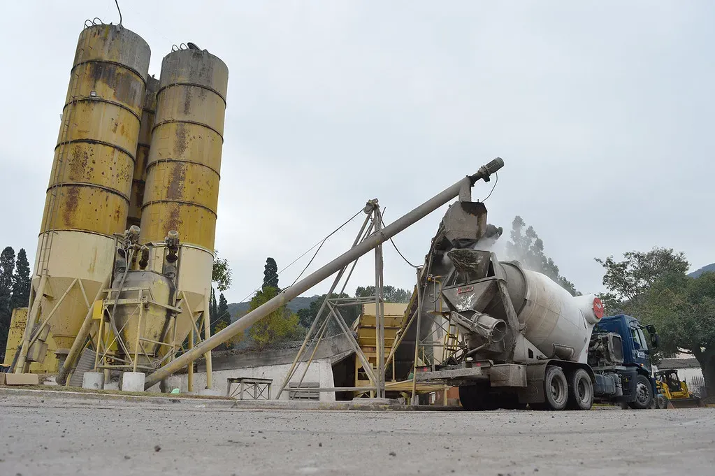 multimedia.normal.833eb2c4be8fdc57.UGxhbnRhIGhvcm1pZ29uZXJhX25vcm1hbC53ZWJw