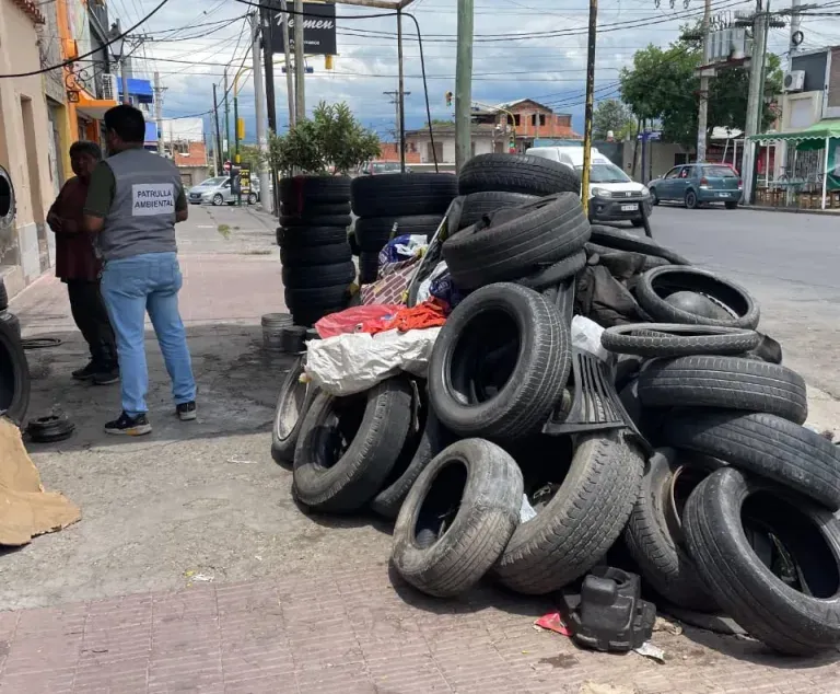 gomeria-1-jpeg-e1737572973410-768x634